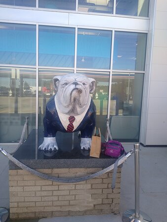 好莱坞罗斯福酒店主图