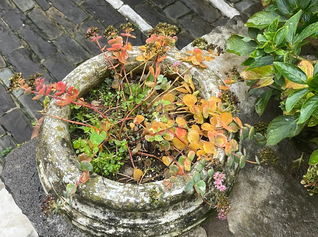 Artsistas Houses主图