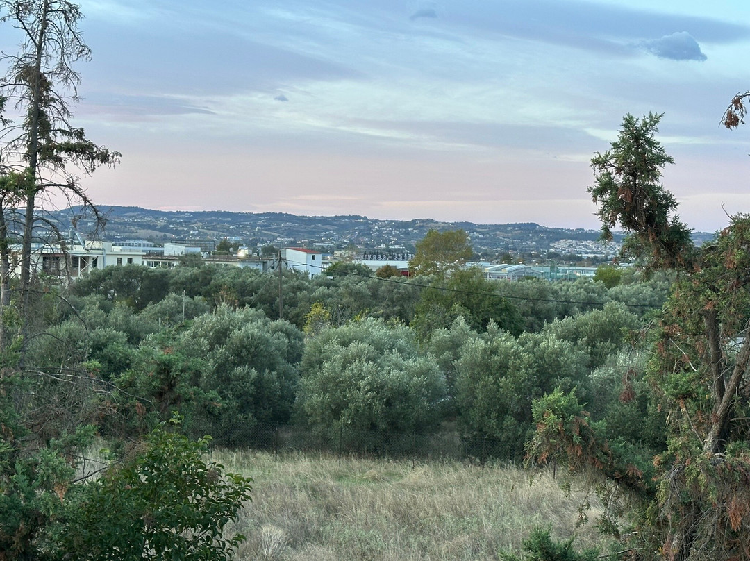 Avalon Airport Hotel Thessaloniki主图