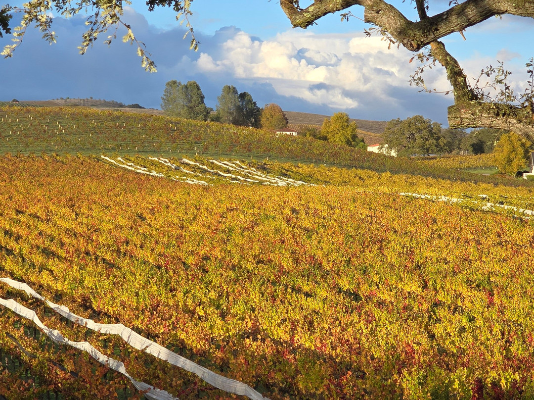 Summerwood Winery & Inn主图