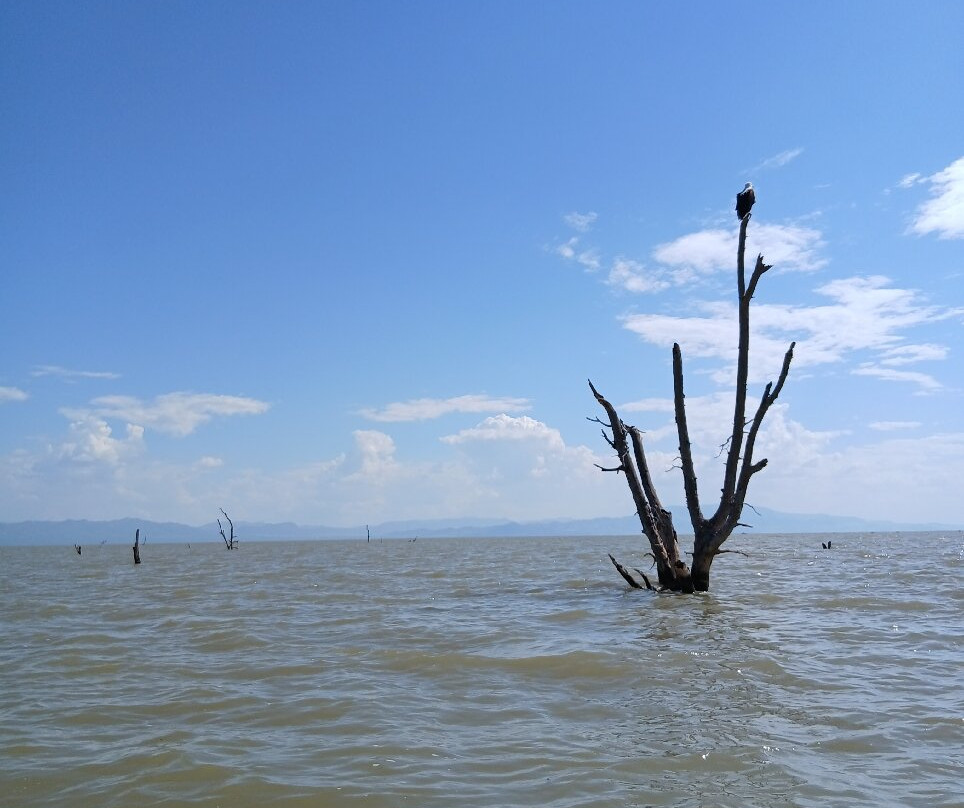 Chamo Lake-Arba Minch必去景点