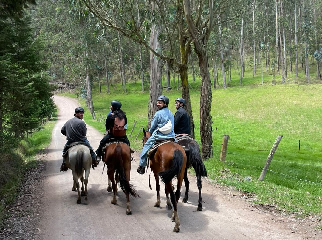 Centro Ecuestre Bellavista-昆卡必去景点