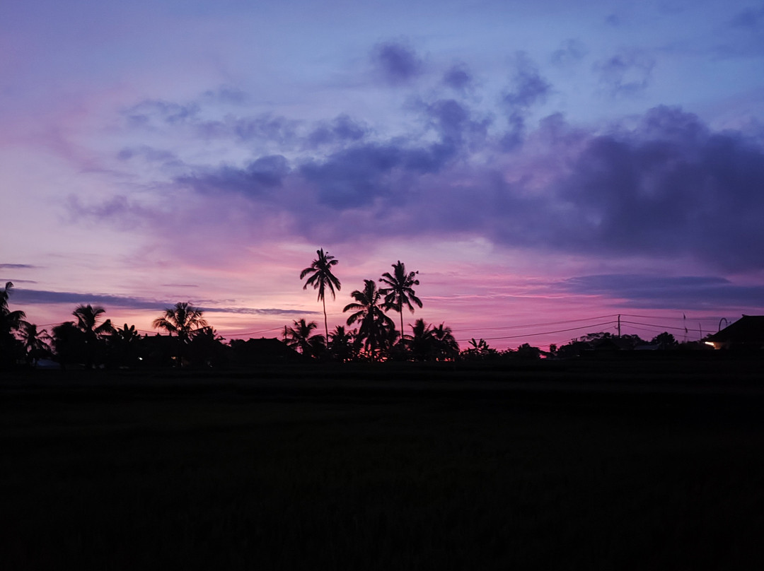 The Nenggala Suite主图