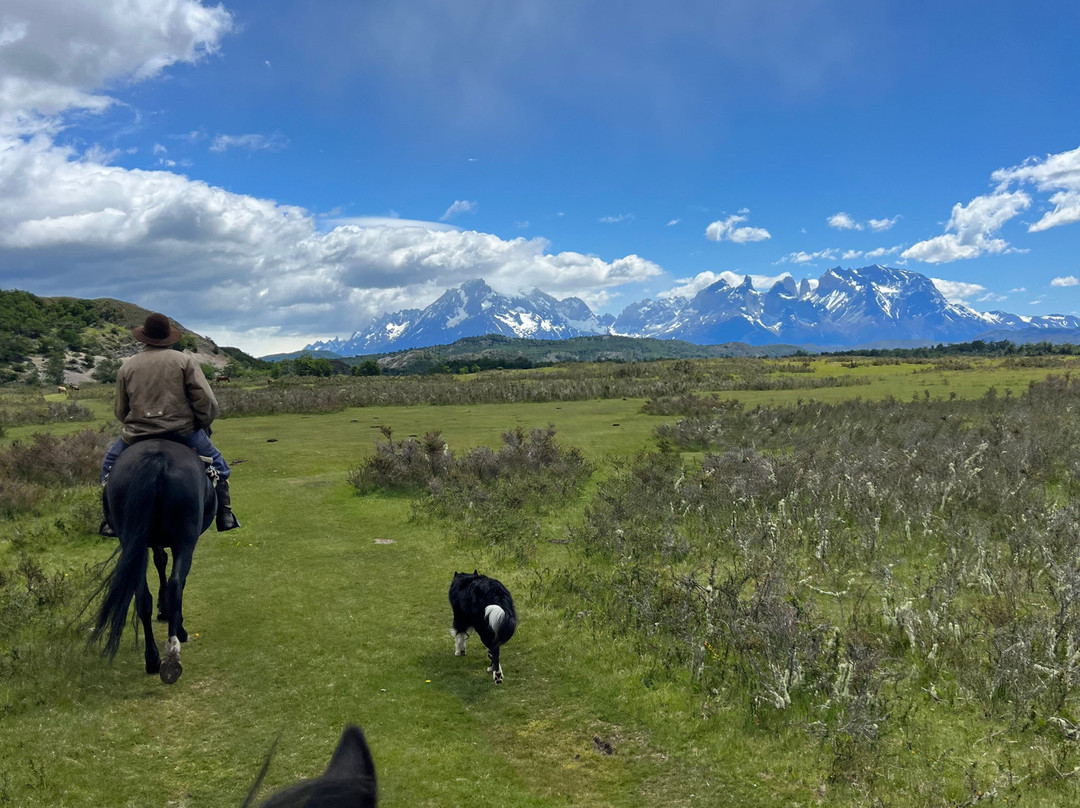 Cimarron Travel-Torres del Paine必去景点