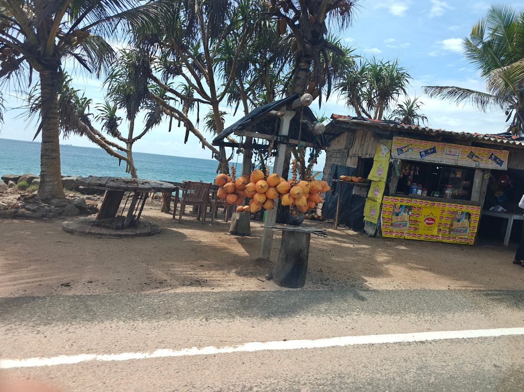 Ceylon Star Tours-Kaduwela必去景点