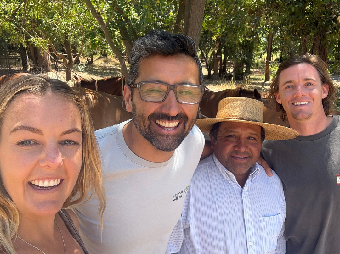 Natural Wine Tours-Palmilla必去景点