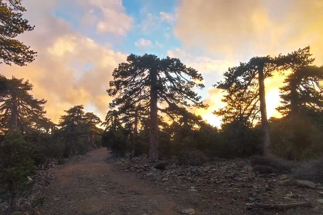 Mount Olympus-特罗多斯必去景点