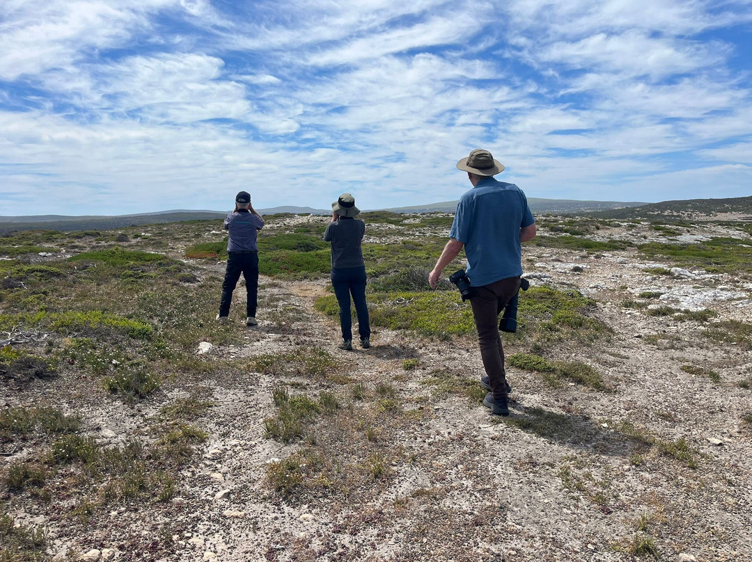 Australian Geographic Travel-悉尼必去景点