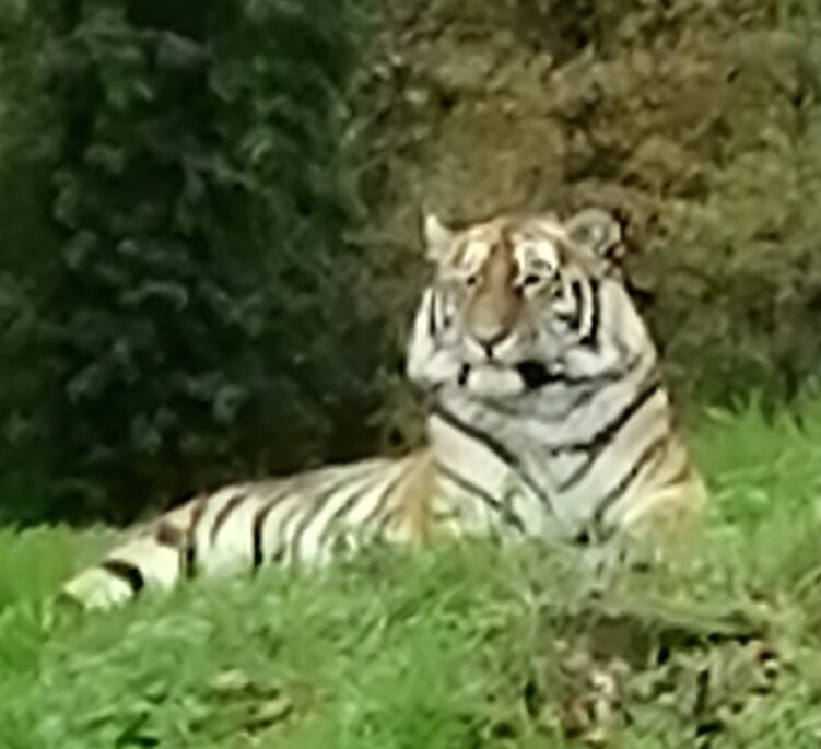 Travelodge Warminster主图