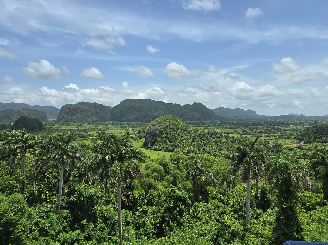 Authentic Tour Delivery-null必去景点