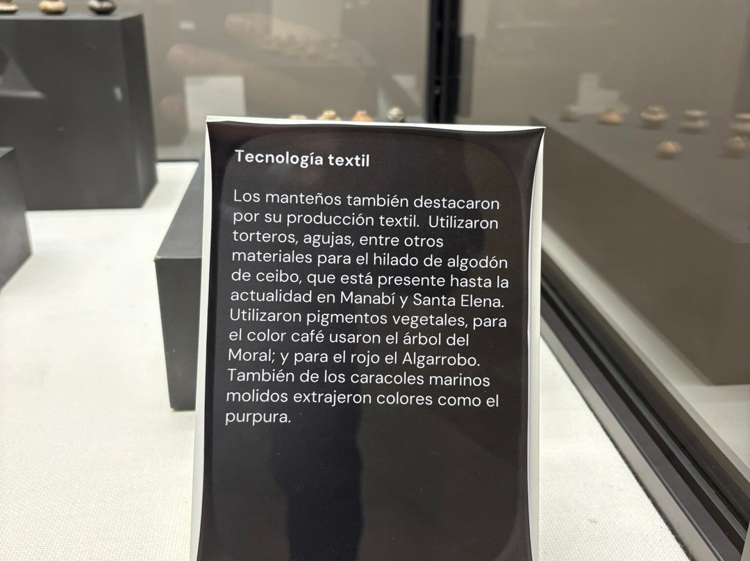 Museo del Banco Central-曼塔必去景点