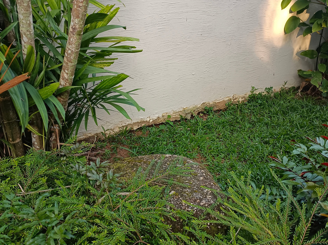 温泉海滩度假村主图