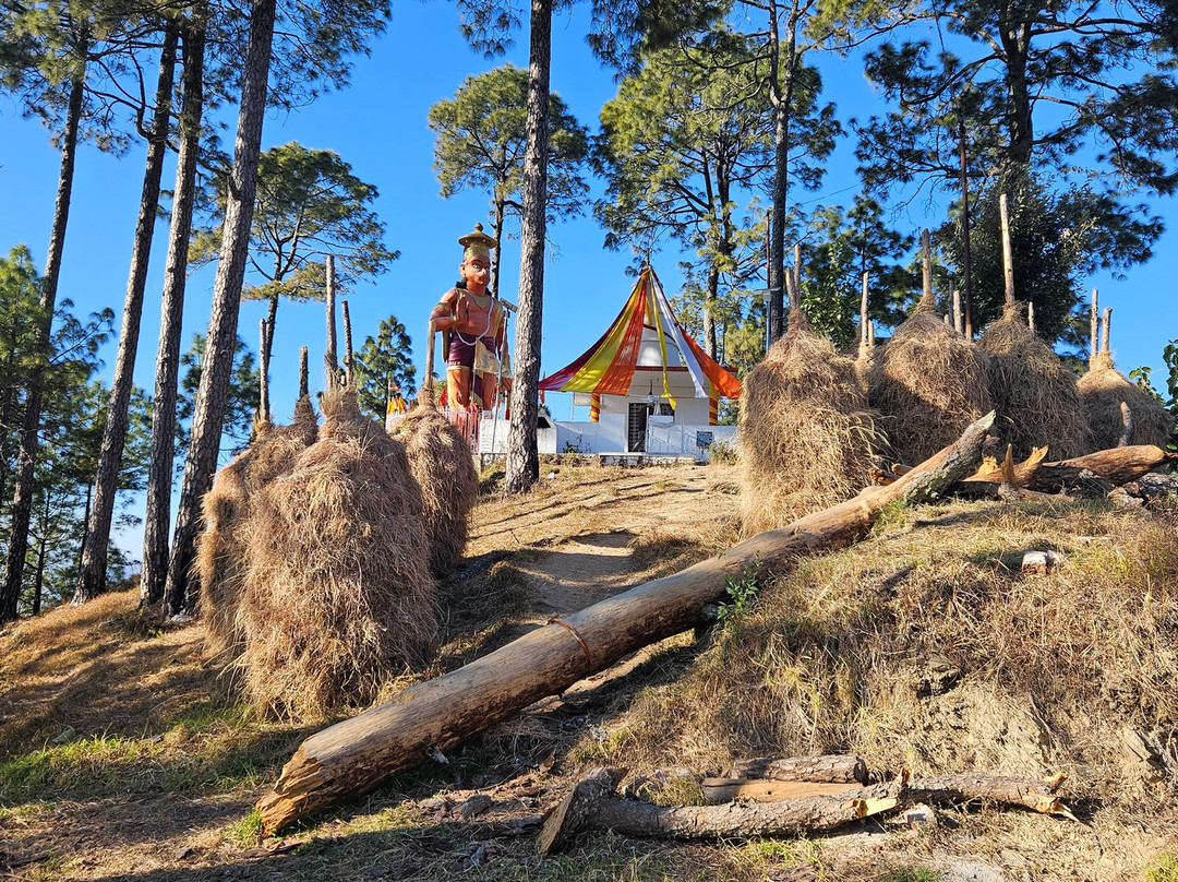 Tehri Club Resort By DLS Hotels主图