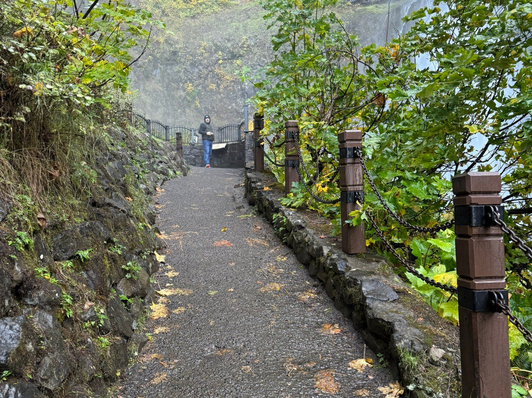 Wahclella Falls-波特兰必去景点