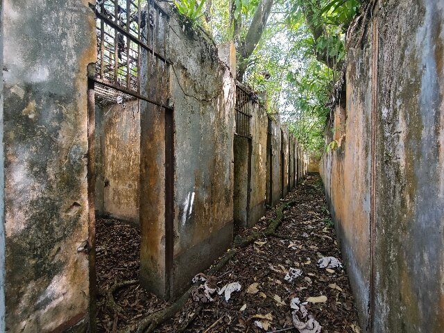 Les Iles du Salut-Kourou必去景点