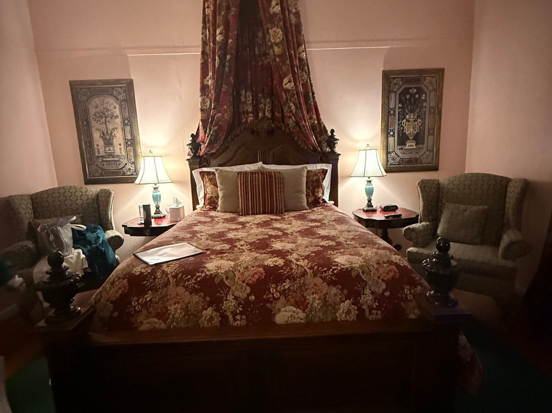 Violet Hill Bed And Breakfast主图