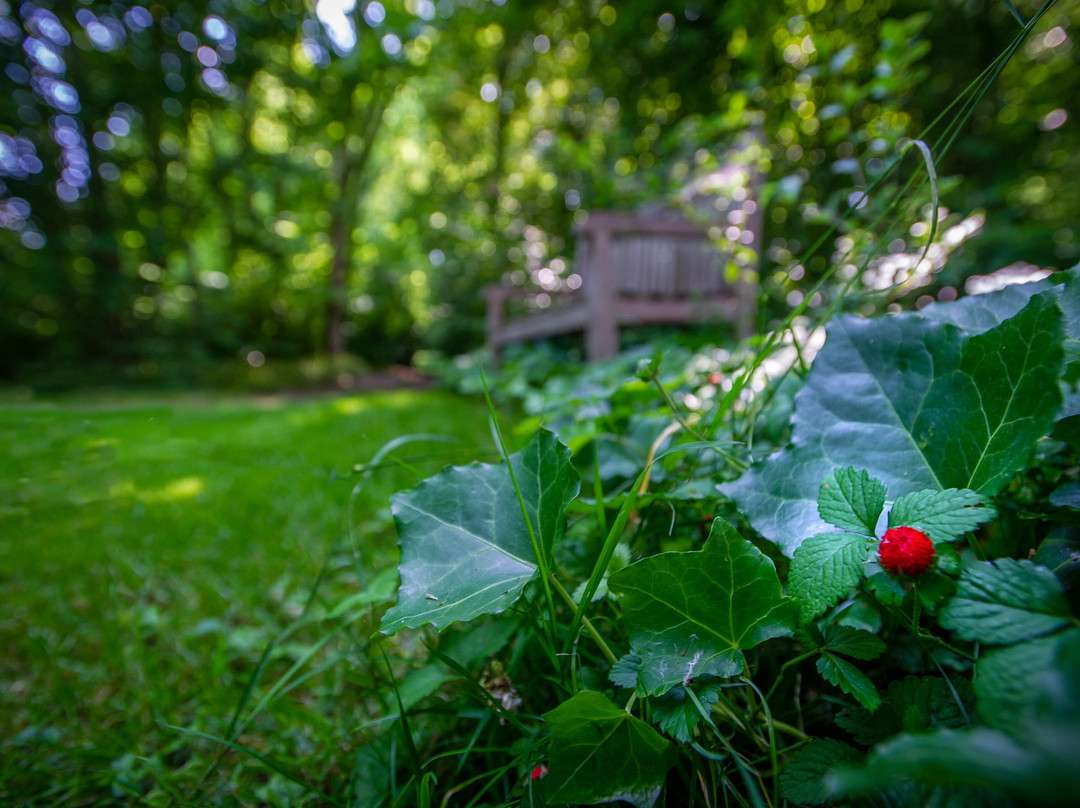 Parco Giardino Tenuta S. Apollonio