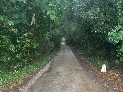 RAW Travel-墨尔本必去景点