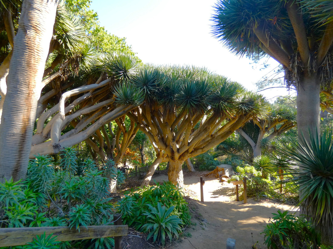 San Diego Botanic Garden-恩西尼塔斯必去景点