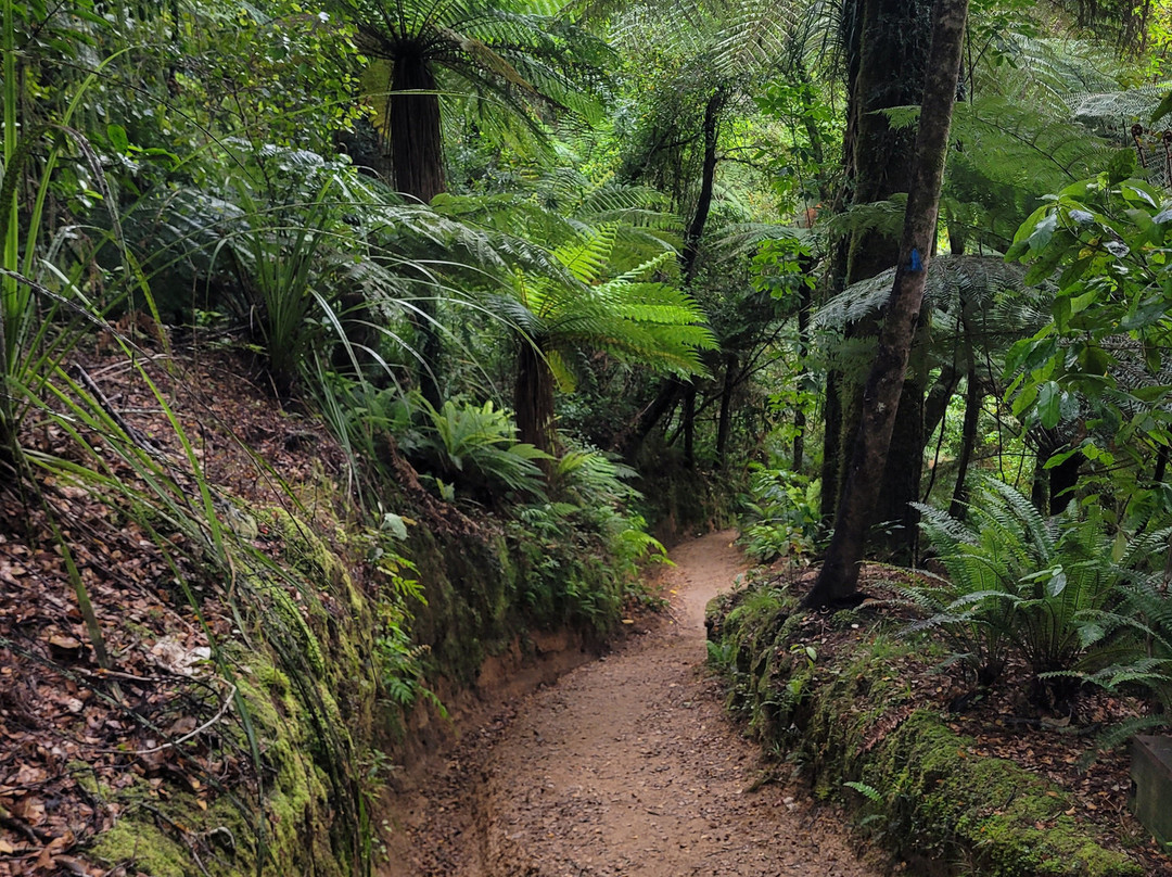 Abel Tasman Guides-玛拉豪必去景点