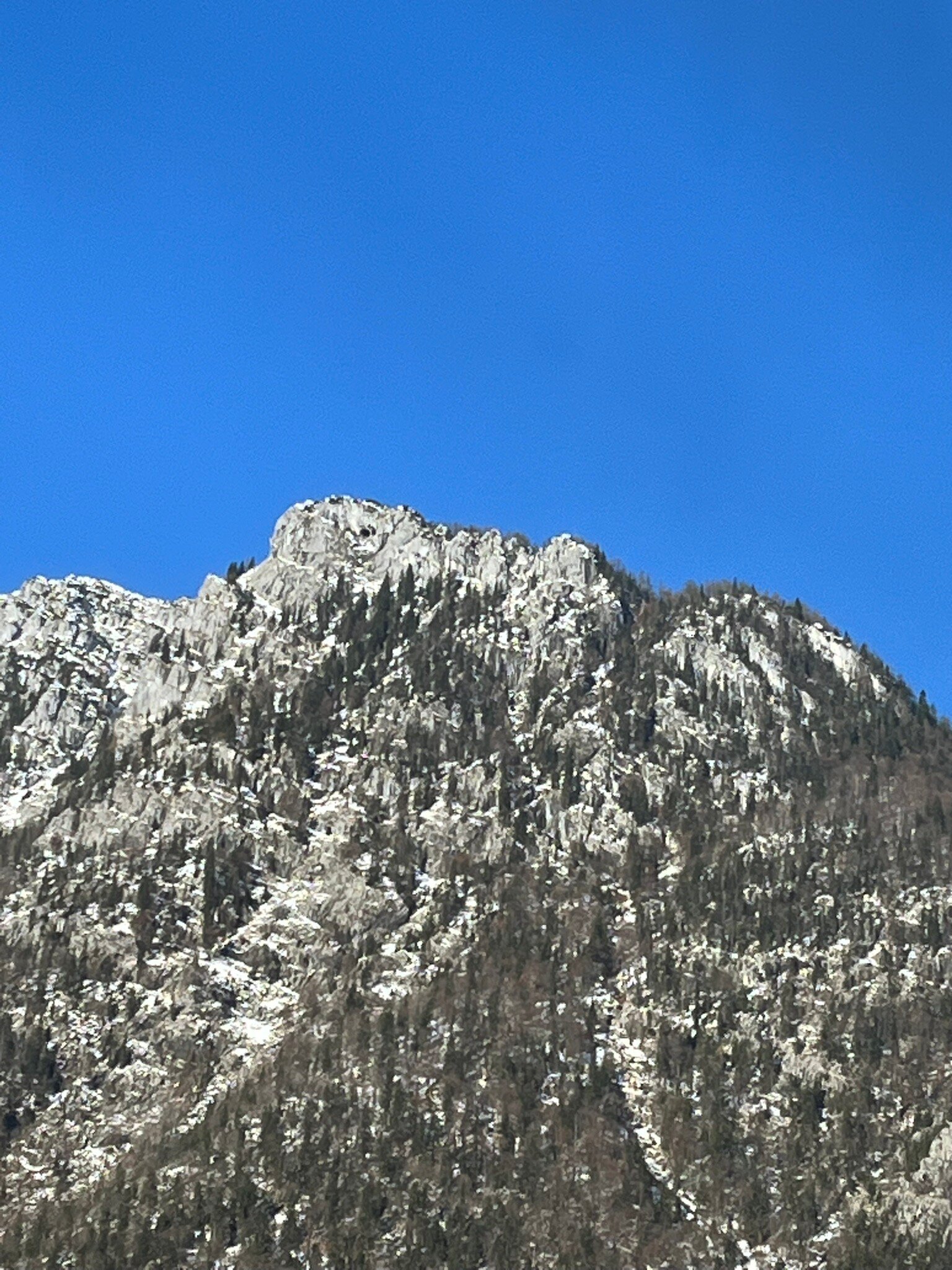 Hotel Salzburger Hof-官方