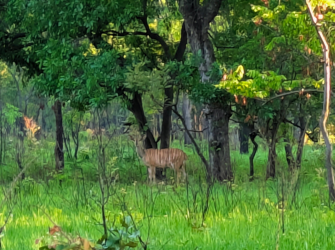 Kuti Wildlife Reserve-沙利马必去景点