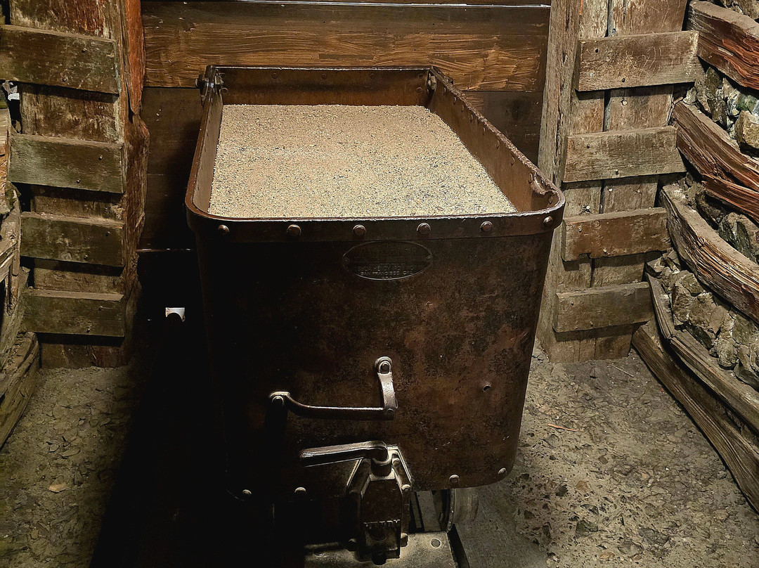 Nevada State Museum-卡森城必去景点