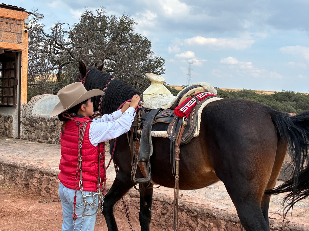 Rancho Las Cascadas Riding Tours-San Agustin Buenavista必去景点