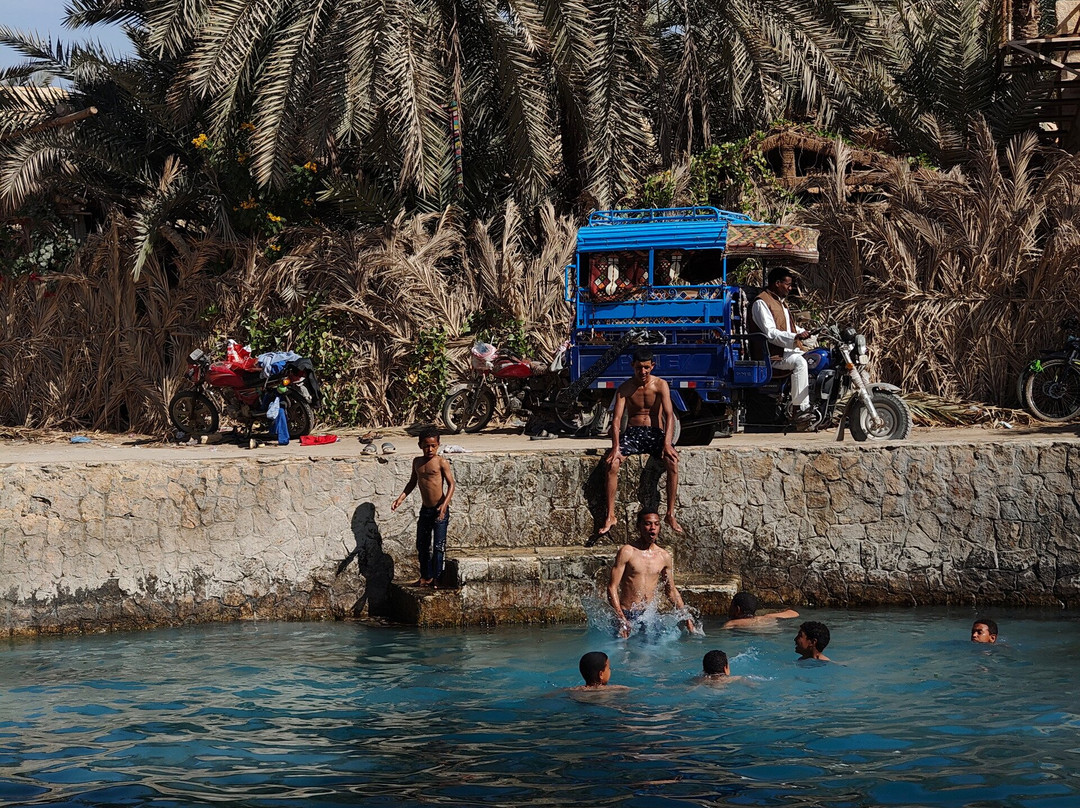 Dabuka Travel Visions-开罗必去景点