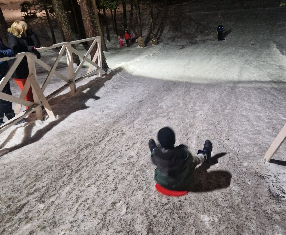 拉普兰熊之家酒店主图