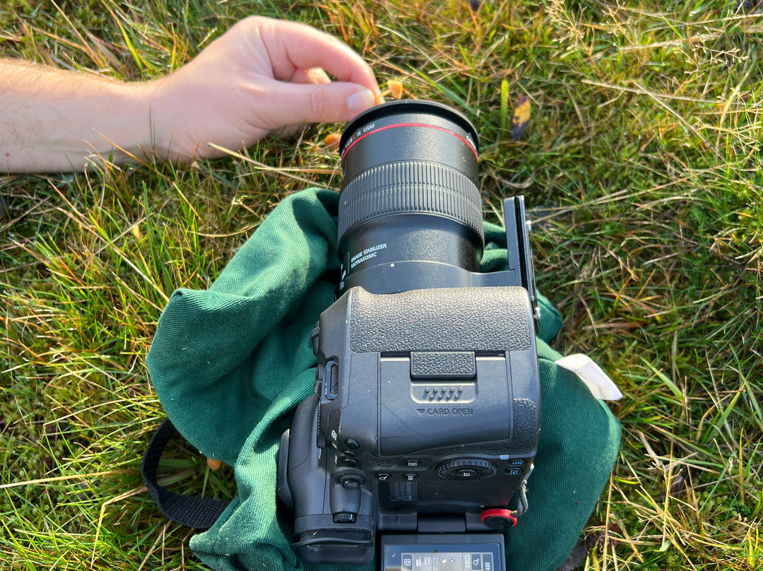 Hepple Wilds Estate-Rothbury必去景点