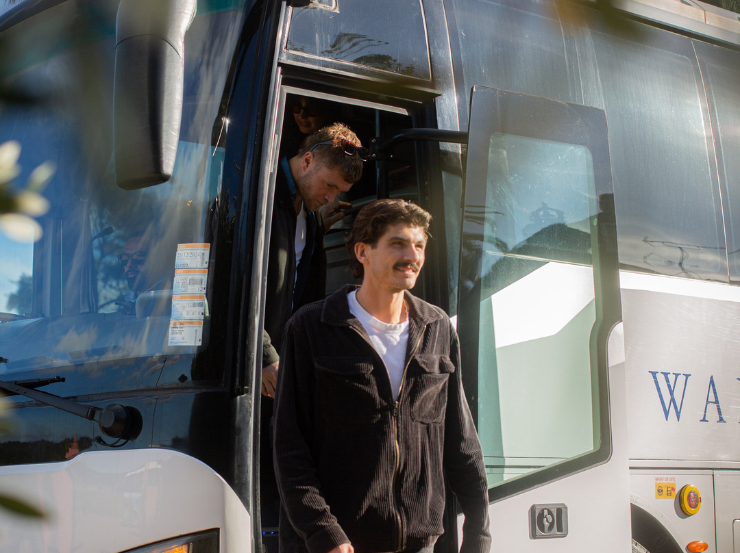 Waiheke Executive Transport-Ostend必去景点