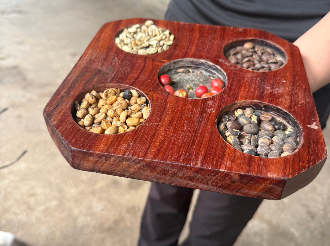 Blessing Tours-Area de Conservacion Guanacaste必去景点