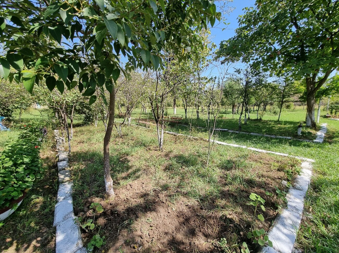 Kakalos village-阿斯塔拉必去景点