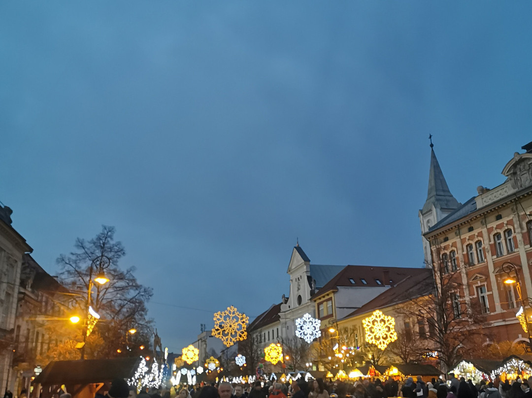 Hotel Vecsecity Superior主图