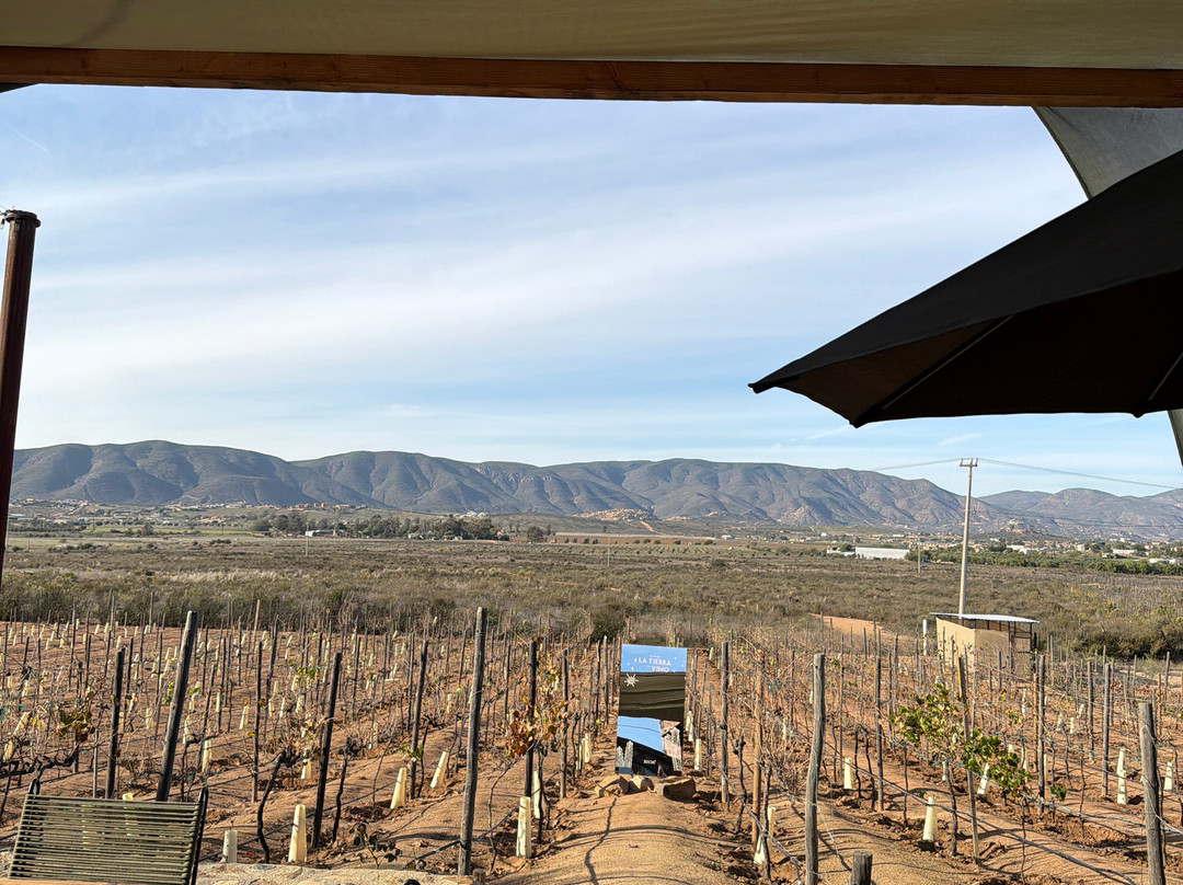Xecue Vinicola-Valle de Guadalupe必去景点