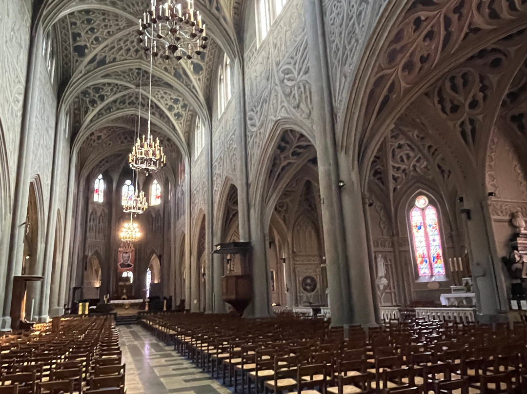 Cathédrale Saint-Francois-De-Sales-尚贝里必去景点