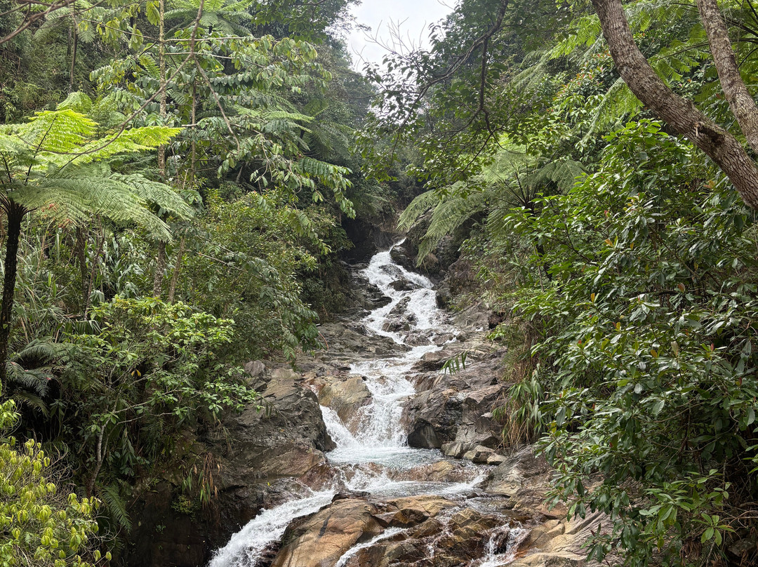 Easyrider Da Nang Motorbike Tour-岘港必去景点