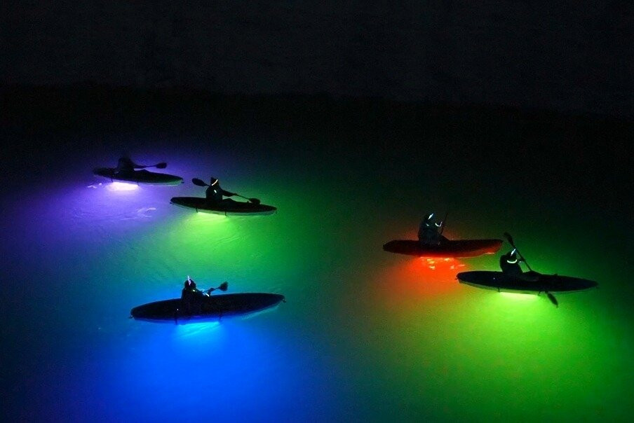 AZ Paddle Junkie Guided Kayak & Paddleboard Tours and Rentals
