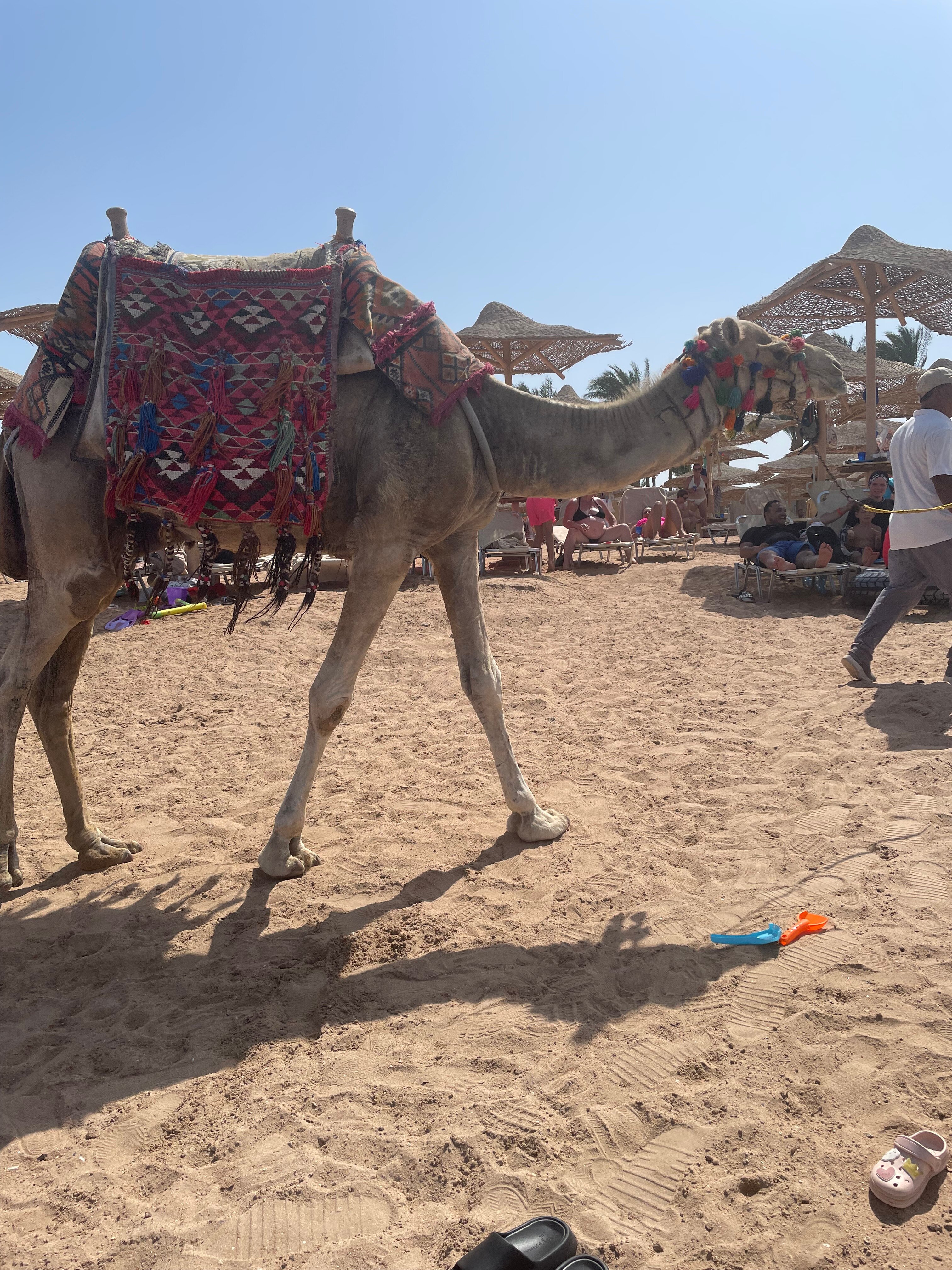 贾兹马卡蒂娜酒店-官方