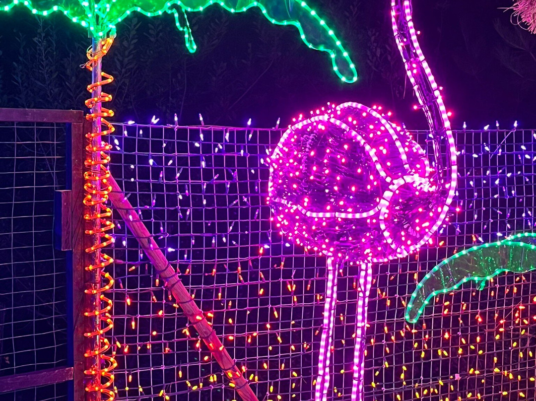 Cambria Christmas Market-坎布里亚必去景点