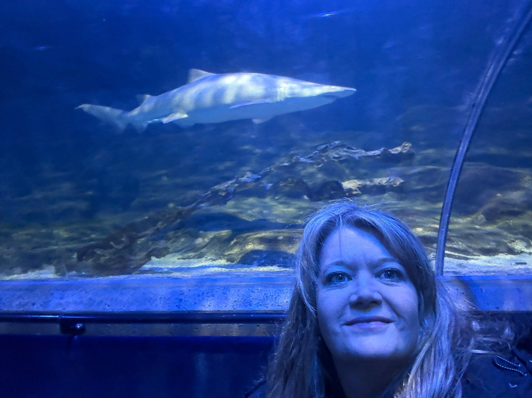 Deep Sea World-北昆斯费里必去景点