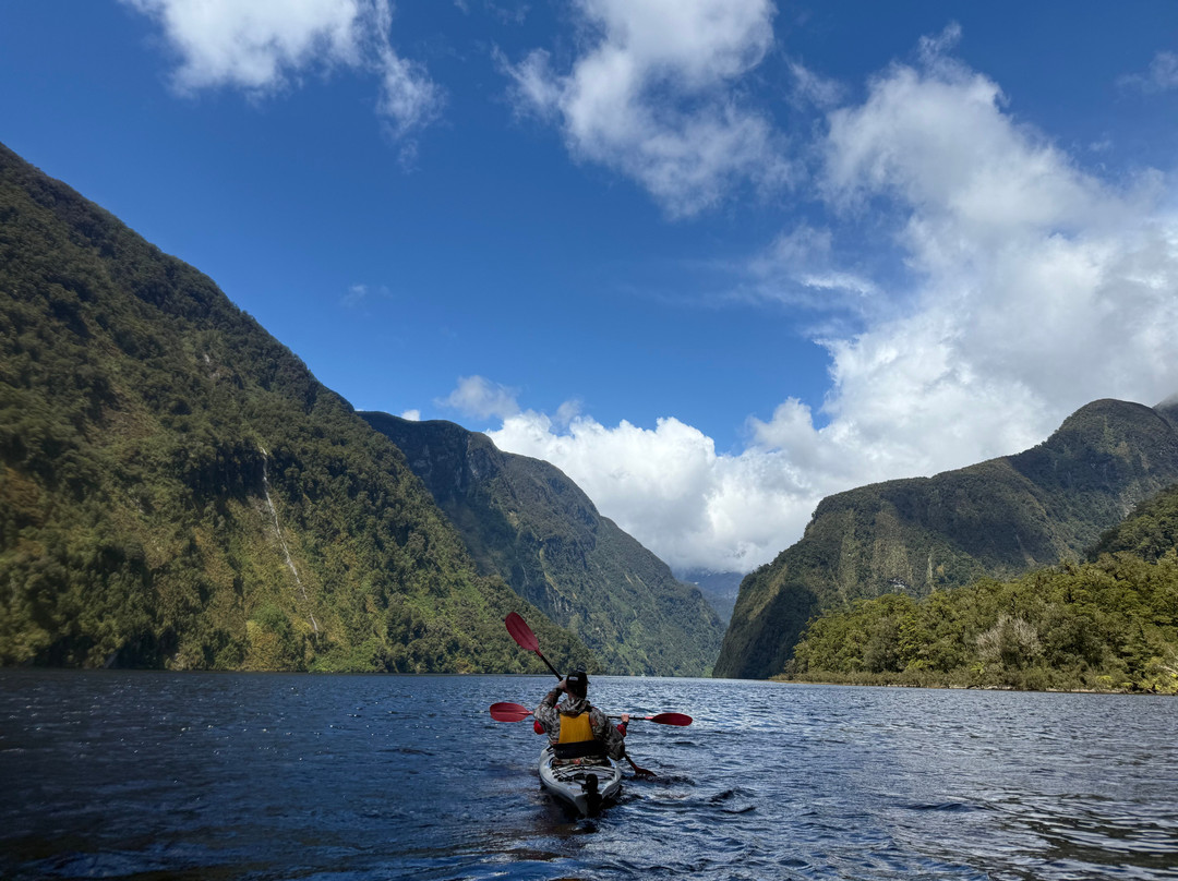 Doubtful Sound Kayak-马纳普里必去景点