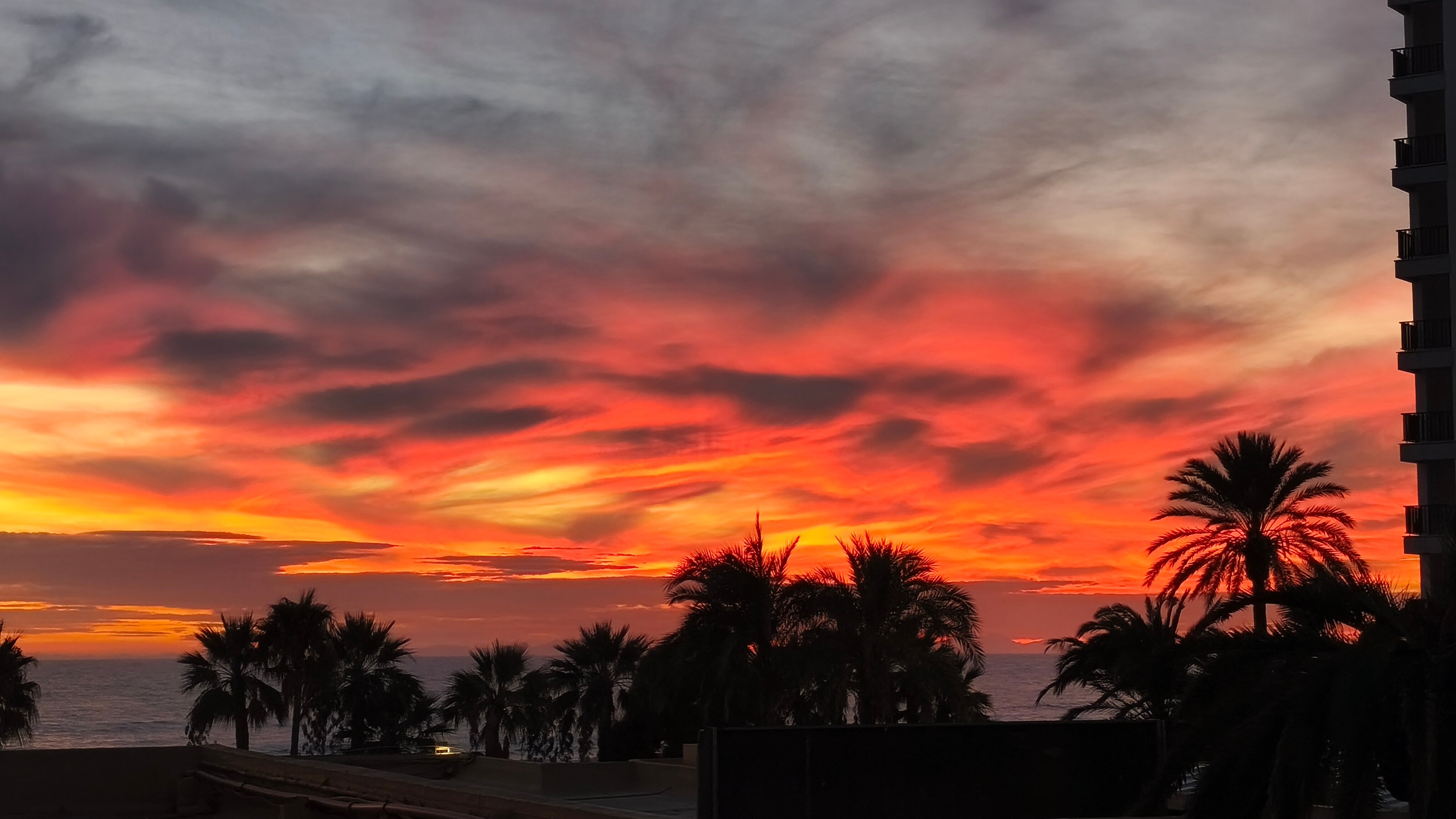 Sol Milanos Pinguinos-官方