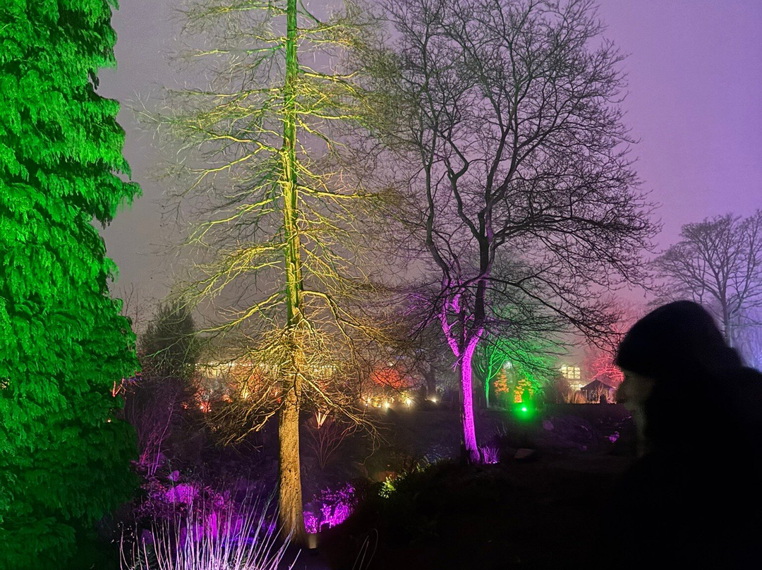 RHS Garden Harlow Carr-哈罗盖特必去景点