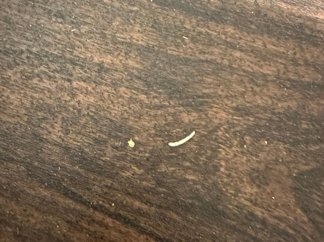 Premier Inn Cheltenham Town Centre hotel主图