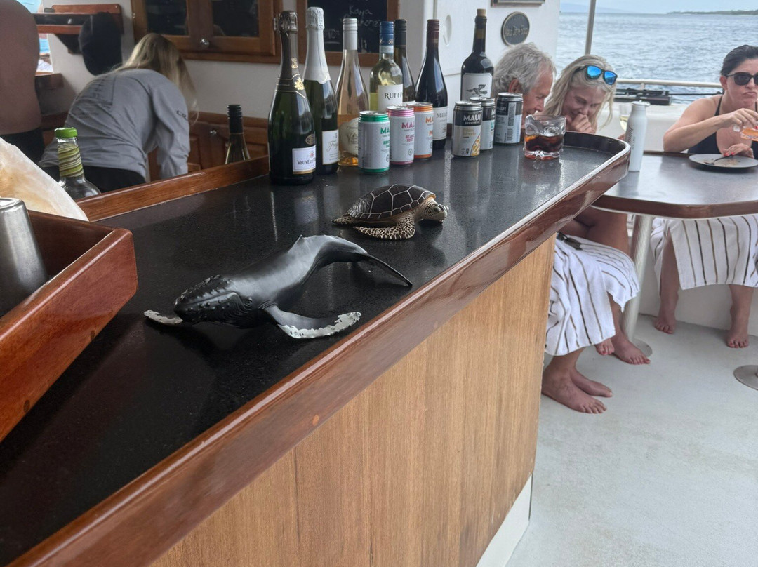 Alii Nui Maui - Sailing Charters-基黑必去景点