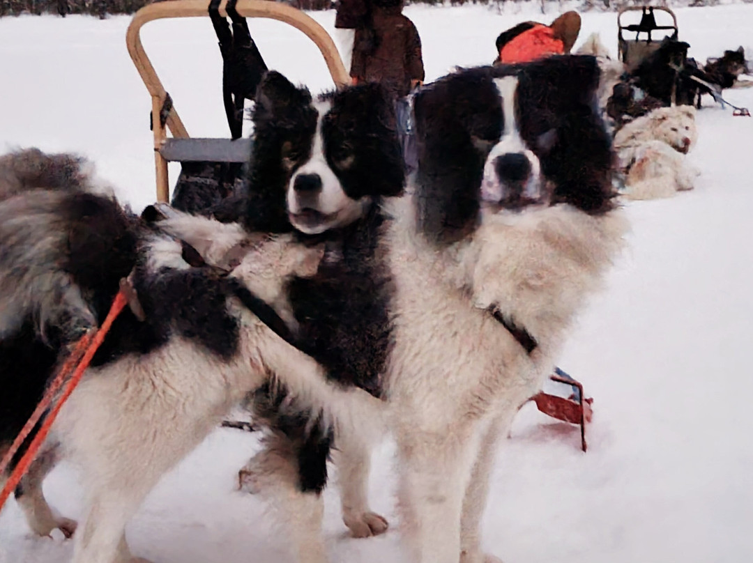 Primitif Aventure-伊瓦洛必去景点