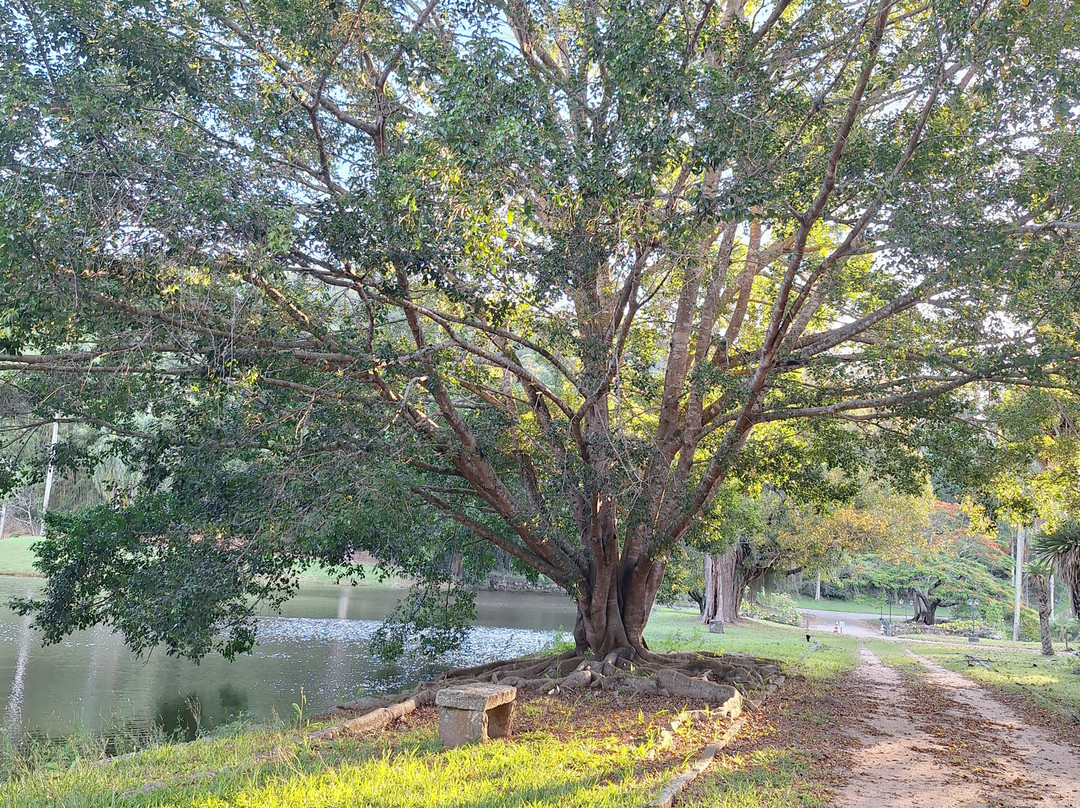 Fazenda Cachoeira Grande-Vassouras必去景点
