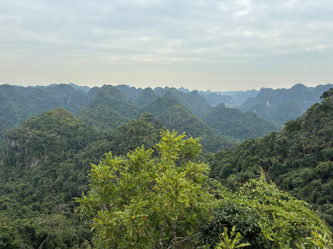 Cat Ba Ventures-卡巴必去景点